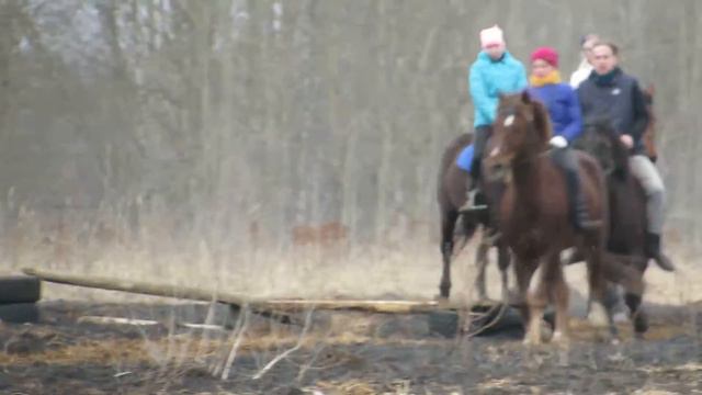 Скачки в Юрьево. смотреть онлайн