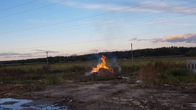 Что будет если камень для печи бани и сауны Базальт положить в костер смотреть онлайн