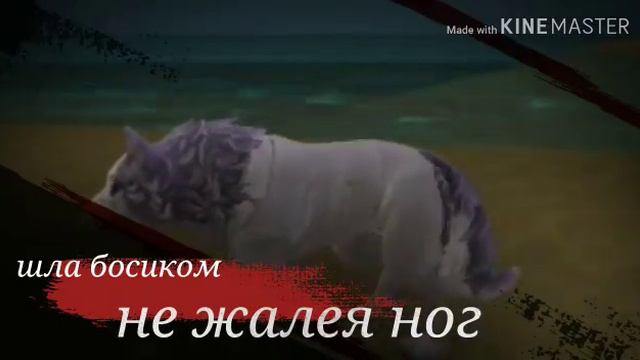 Фор самой лучшей подруге смотреть онлайн