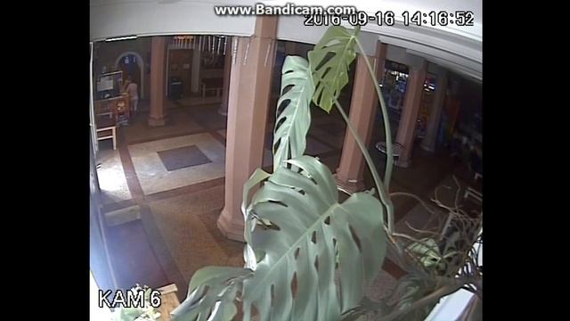 Кража телефона в кинотеатре "Победа" г. Севастополь смотреть онлайн