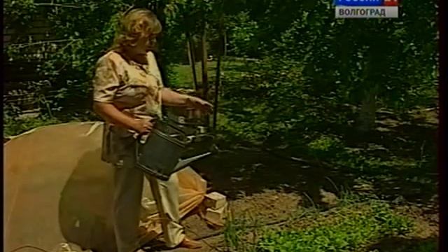 Полив. Распылители.Специальный сочащийся шланг. смотреть онлайн