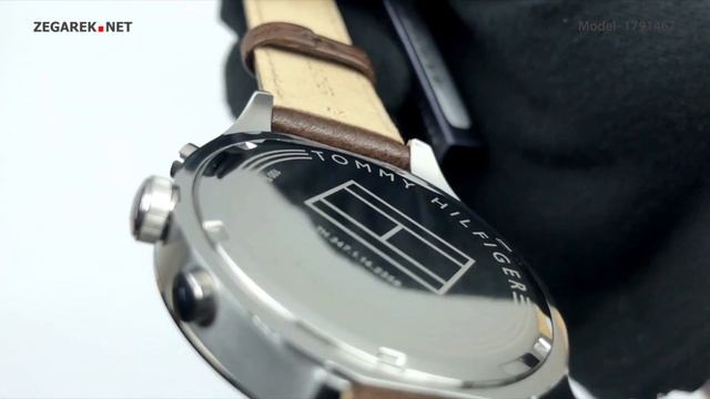 Tommy Hilfiger Męskie 1791467 - Zegarek.net