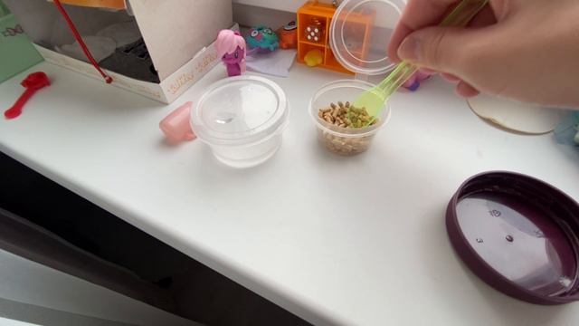 мини влог, кормим сквиш собачек! 💞 смотреть онлайн