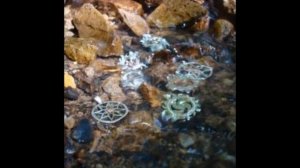 Как очистить и зарядить оберег