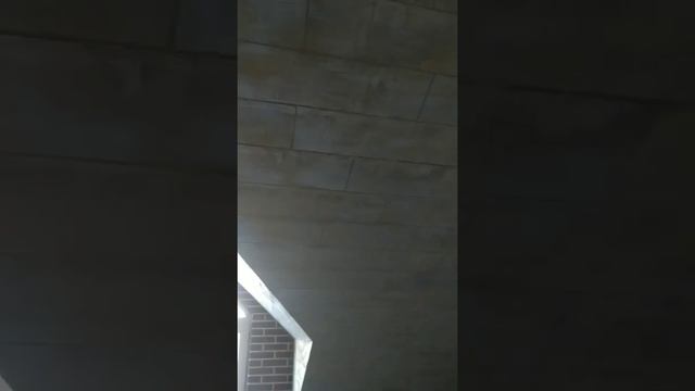 Имитация дерева