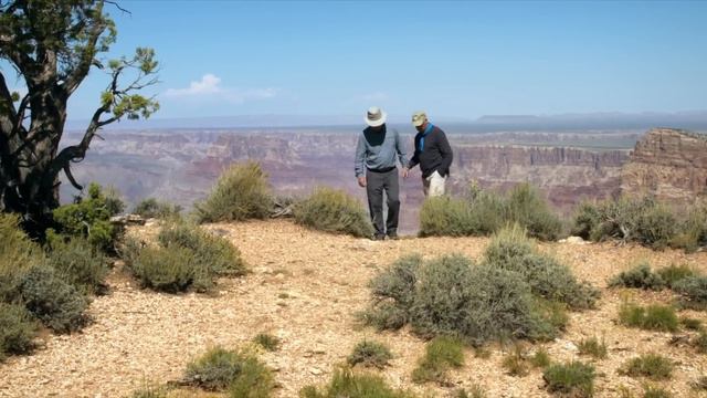 How did rapid catastrophic processes form the Grand Canyon? - Dr. Steve Austin смотреть онлайн