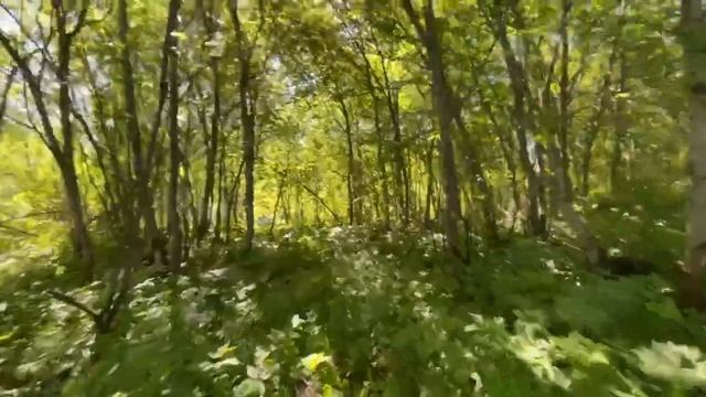 Лукинская Красноборский район смотреть онлайн