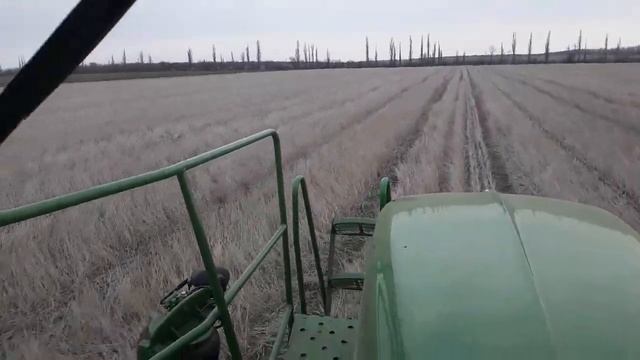 Посев горчицы No-till смотреть онлайн