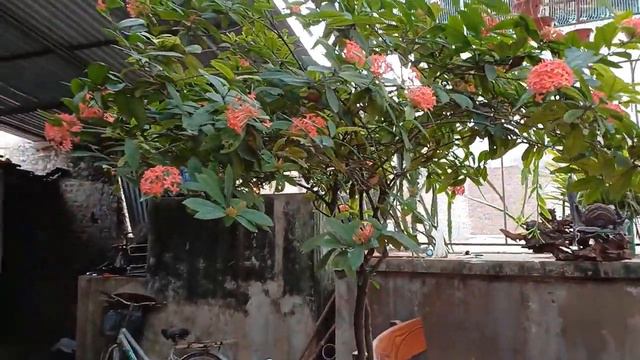 Ed Lapiz Preaching 2024 Come To Me All You Who Are Weary And BurdenedAnd I Will Give You Rest смотреть онлайн