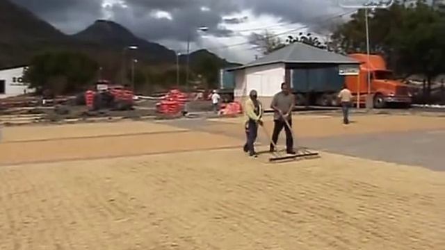 Никарагуа 2. Далеко и еще дальше смотреть онлайн