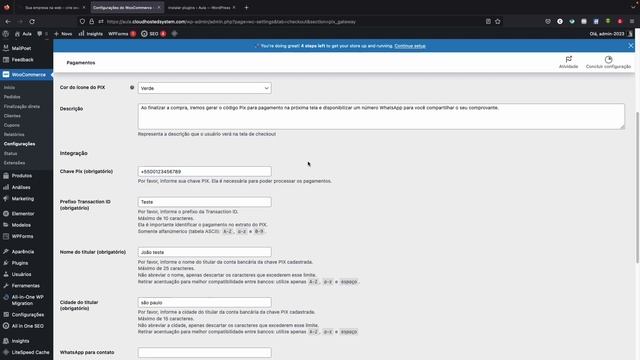 O Melhor plugin de pagamento via pix para woocommerce wordpress смотреть онлайн