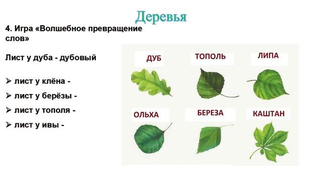 Упражнения БЕЗ огорчения. Деревья смотреть онлайн