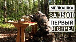 Мелкашка 22лр за 35000! Что она может! ТОЗ-78-04м первый отстрел.