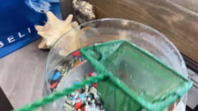 Как правильно менять в аквариуме воду рыбке. смотреть онлайн