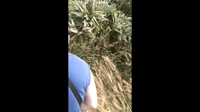 Мыс Промтеп на Пхукете смотреть онлайн