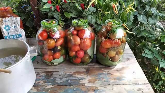 КВАШЕНЫЕ ПОМИДОРЫ НА ЗИМУ БЕЗ ЗАМОРОЧЕК-СЕМЕЙНЫЙ РЕЦЕПТ!!! смотреть онлайн