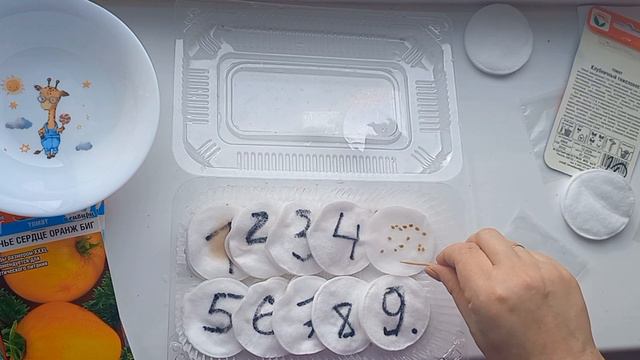 Лобелия погибает 🫢сажаю.... смотреть онлайн