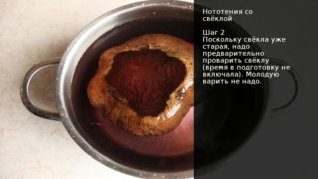 Нототения со свёклой . Рецепт от шеф повара Максима Григорьева смотреть онлайн