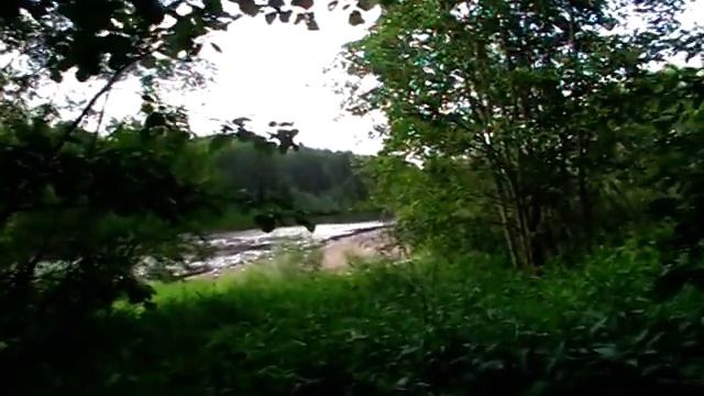 MOV007 чайки на реке Юг смотреть онлайн