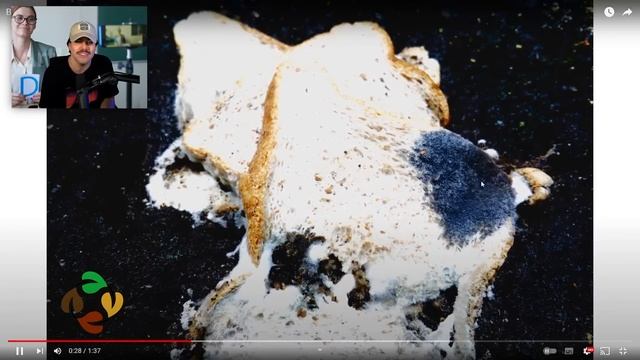 Eu duvido vc não sair desse vídeo relaxado, é sério смотреть онлайн