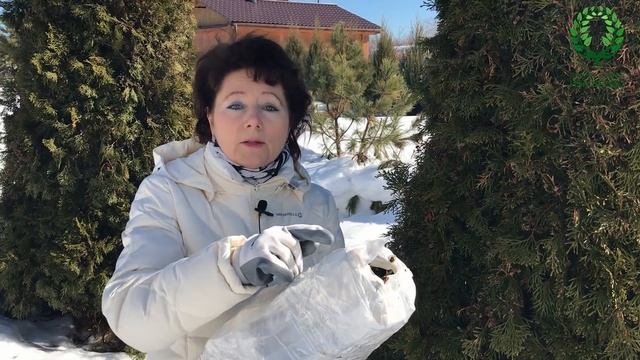 Как хранить Розы до посадки./4 часть/ Хранение штамбовых и других роз смотреть онлайн