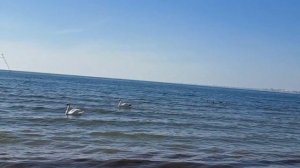 Самое синее в мире, Чёрное море моё