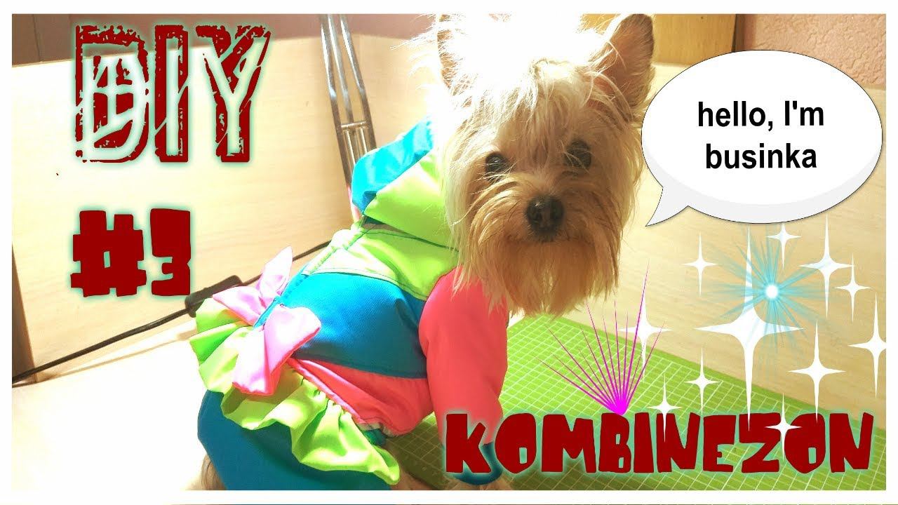 Одежда для собак. своими руками. часть 3 - комбинезон. DIY . мастер класс смотреть онлайн
