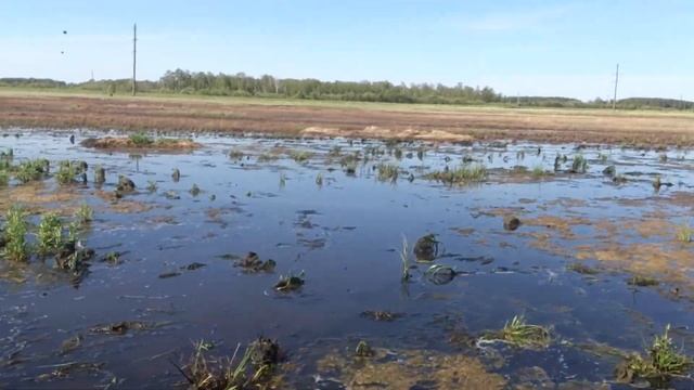 Самодельный квадроцикл. Водные процедуры. Часть 2 смотреть онлайн