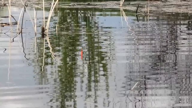 НАТАСКАЛИ МЕШОК НА ПОПЛАВОК!!! Рыбалка весной на карася смотреть онлайн