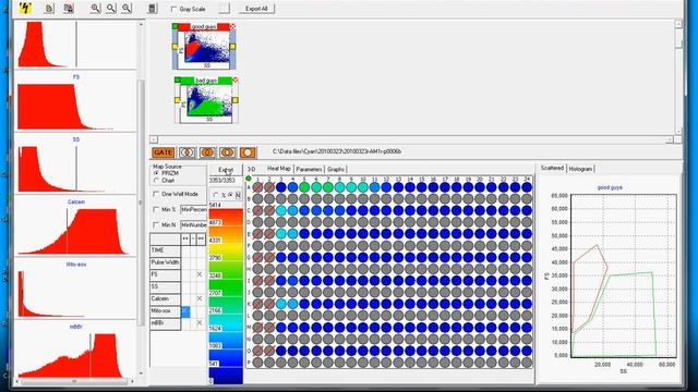 Export csv 1 смотреть онлайн