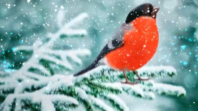 Футаж Снегирь 4 смотреть онлайн