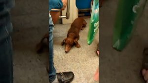 Такса в метро)