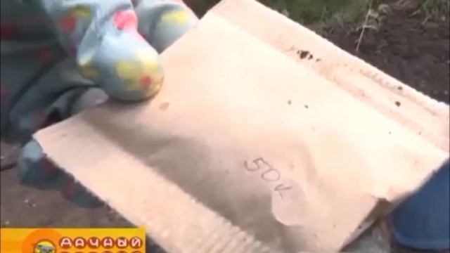 АПИОНы - "удобрения для ленивых"! АПИОНы работают- вы отдыхаете. смотреть онлайн