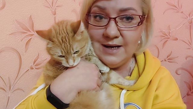 ДОХОД И РАСХОД ГАЯНЫ. ХОЧЕТСЯ ПЛАКАТЬ. ЧЕТВЕРОНОГИЕ ДРУЗЬЯ. смотреть онлайн