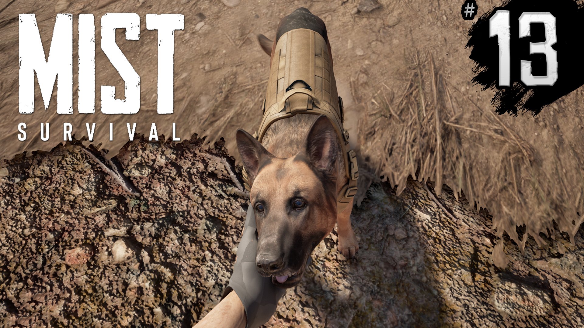 ДОБАВИЛИ СОБАКУ ► Mist survival #13 ► БОЛЬШОЕ ОБНОВЛЕНИЕ ► НОВАЯ ГРАФА смотреть онлайн