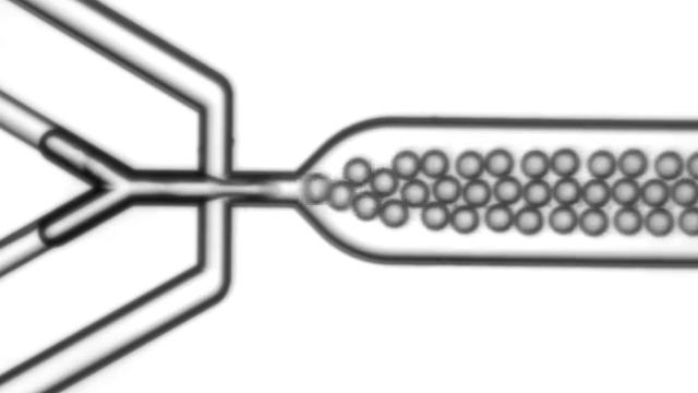 Microgel Formation In A Microfluidic Device