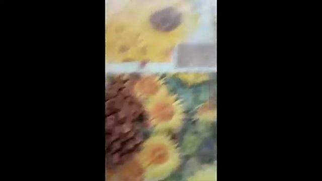 Чем я кормлю немецкую овчарку. смотреть онлайн