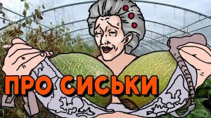 Про сиськи | Какие сиськи лучше? | Ace Attorney