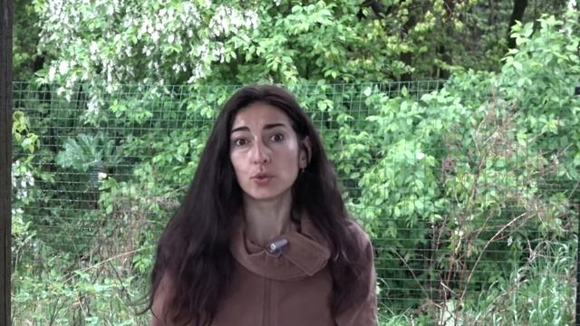 Как понимать лошадь? смотреть онлайн