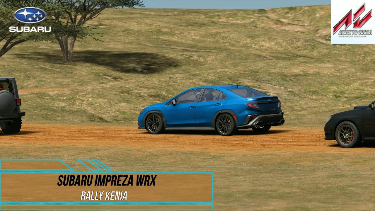 Subaru WRX - Rally Kenia | Assetto Corsa. смотреть онлайн