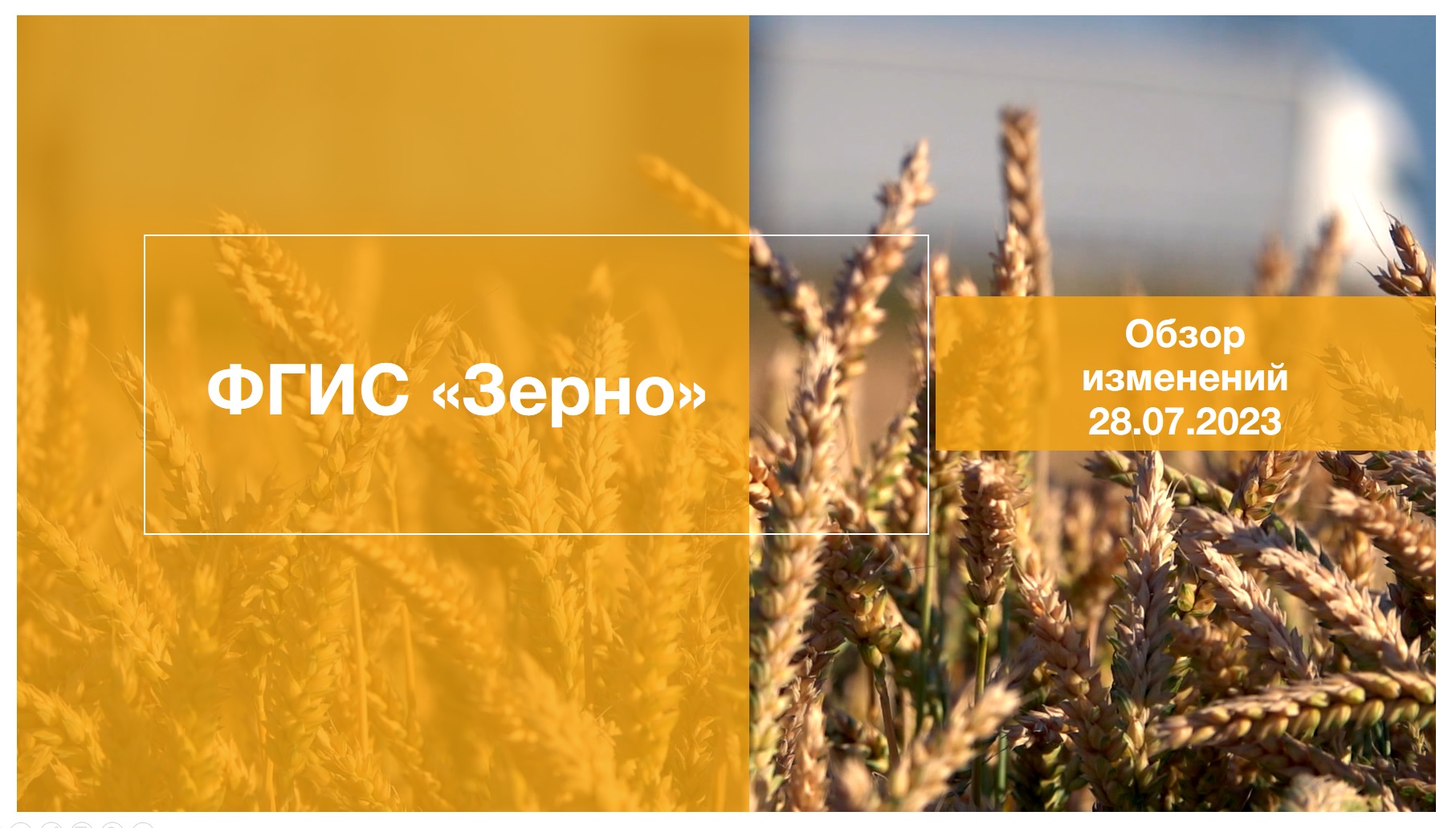 Обзор обновлений ФГИС ЗЕРНО на 28.07.2023 смотреть онлайн