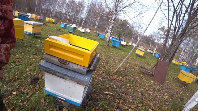 Зимовка на воле! ВЕРХНЯЯ или НИЖНЯЯ вентиляция! смотреть онлайн