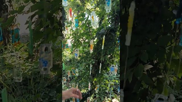 Стеклянный парк Кабардинка смотреть онлайн