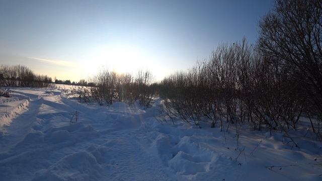 Мотобуксировщик толкач Альбатрос XL8 смотреть онлайн