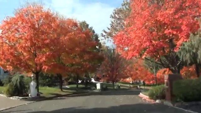 Sony Handycam DCR-SX83 driving test смотреть онлайн