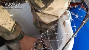 ЛЕЩ размером с ВЕДРО. Рыбалка на Неве. Ловим на кольцо.Как правильно достовать леща из подсачика ?.