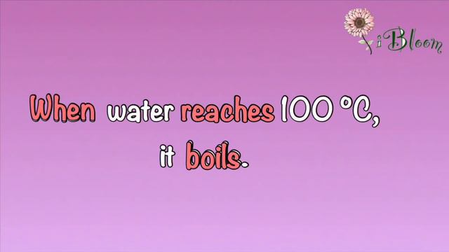 Conditional Sentences with Present and Future صف ثالث ثانوي (ميغا قول) смотреть онлайн