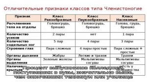 Какое образование получают в колледже и техникуме