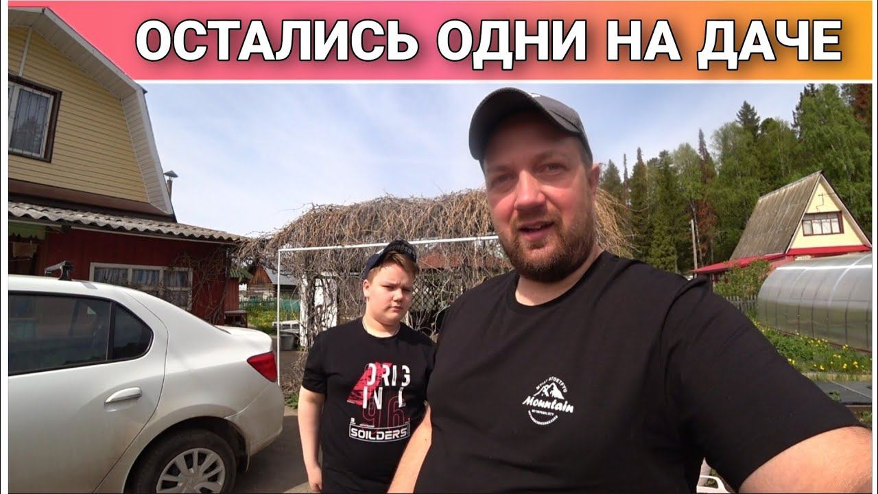 ВЛОГ! Привезли рассаду помидор и перцев на дачу/Садовый бур в работе/Покосил траву/Утро на даче!