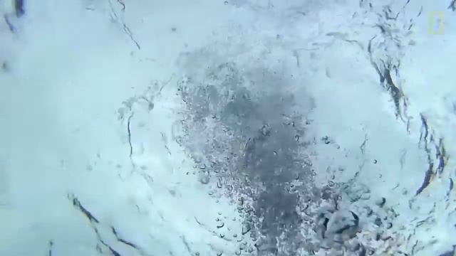 sahalin video final смотреть онлайн